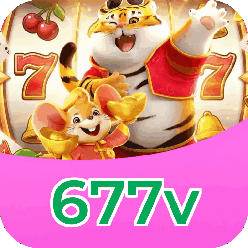 Performance 677v
